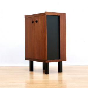 MID CENTURY TEAK VINYL RECORD STORAGE CABINET